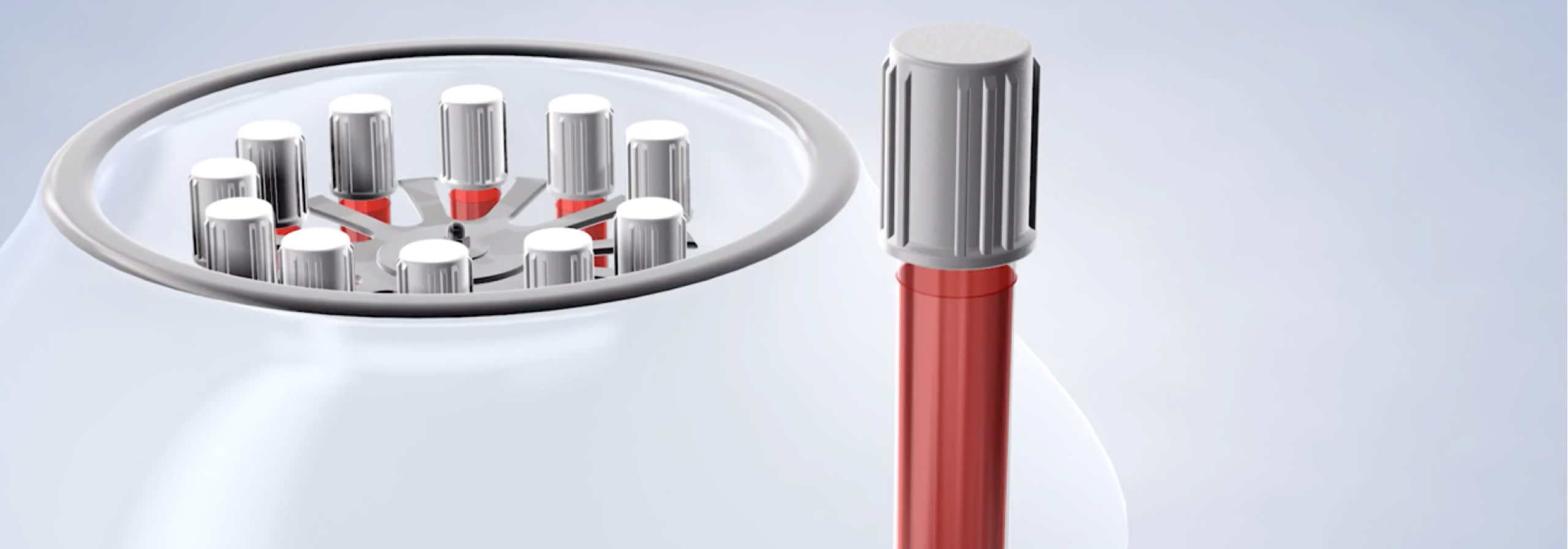 Procedure prp video thumb